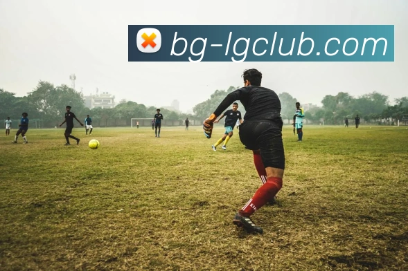 老哥俱乐部官网服务体系